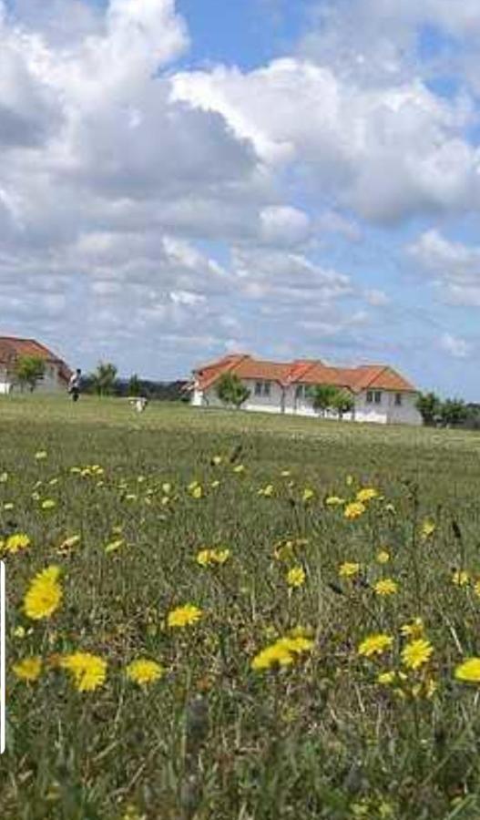 Ferienapartment Wiese & Meer Auf Ruegen Neddesitz Zewnętrze zdjęcie